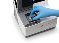 i20 - European Standard